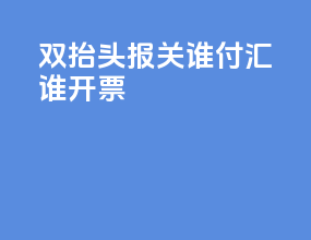 双抬头报关谁付汇谁开票