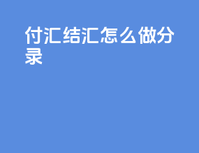 付汇结汇怎么做分录