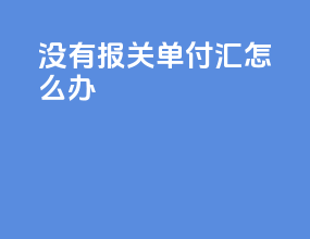 没有报关单付汇怎么办