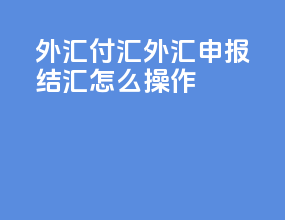 外汇付汇外汇申报结汇怎么操作