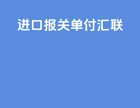 进口报关单付汇联