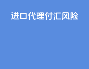 进口代理付汇风险