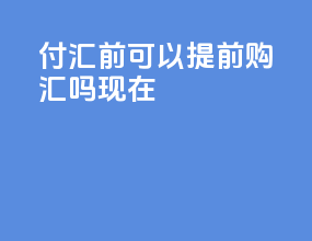 付汇前可以提前购汇吗现在