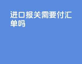 进口报关需要付汇单吗