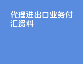 代理进出口业务付汇资料