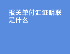 报关单付汇证明联是什么