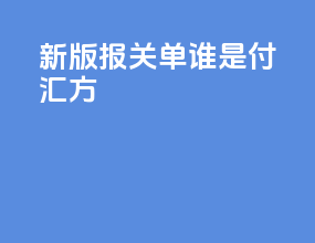 新版报关单谁是付汇方