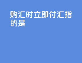 购汇时立即付汇指的是