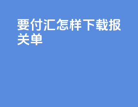 要付汇怎样下载报关单