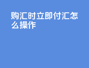 购汇时立即付汇怎么操作