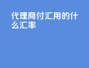 代理商付汇用的什么汇率