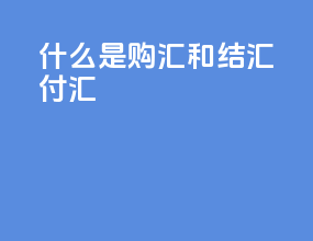 什么是购汇和结汇 付汇