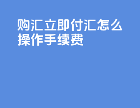 购汇立即付汇怎么操作手续费