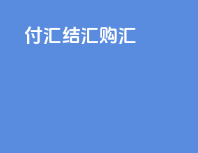 付汇结汇购汇
