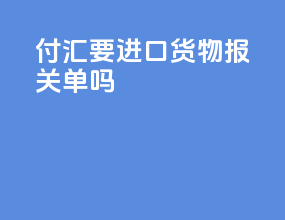 付汇要进口货物报关单吗