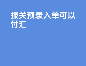 报关预录入单可以付汇