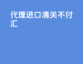 代理进口清关不付汇