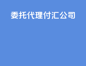 委托代理付汇公司