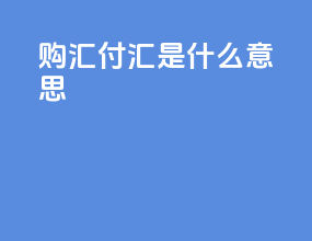 购汇 付汇是什么意思