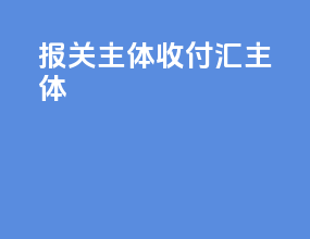 报关主体 收付汇主体
