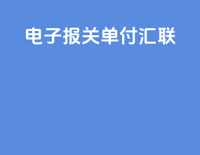 电子报关单付汇联