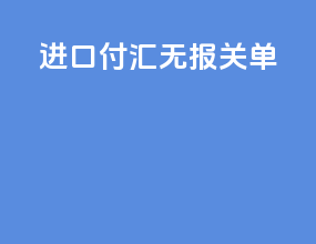 进口付汇无报关单