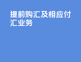 提前购汇及相应付汇业务