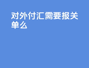 对外付汇需要报关单么