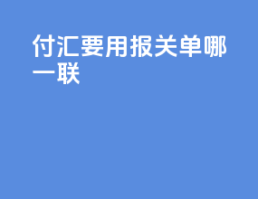付汇要用报关单哪一联