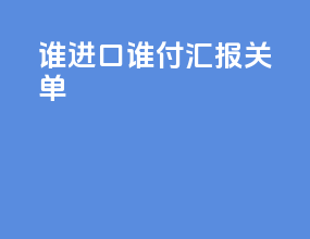 谁进口谁付汇 报关单