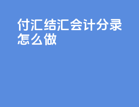 付汇结汇会计分录怎么做