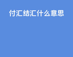 付汇 结汇什么意思