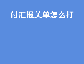 付汇报关单怎么打