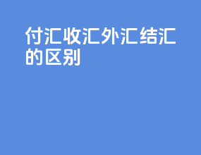 付汇收汇外汇结汇的区别