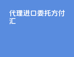 代理进口委托方付汇