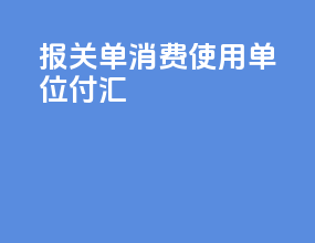 报关单消费使用单位付汇