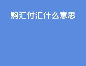 购汇付汇什么意思