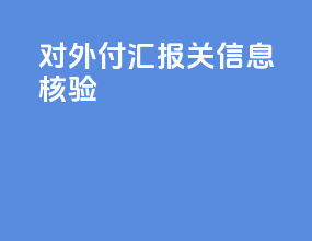 对外付汇报关信息核验