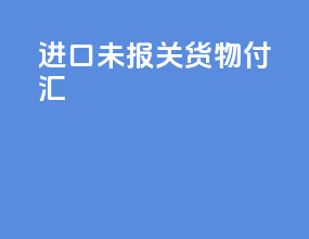 进口未报关货物付汇