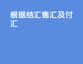 根据结汇售汇及付汇