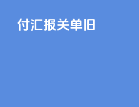 付汇 报关单 旧