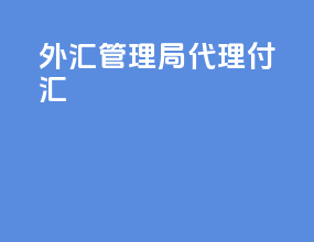外汇管理局代理付汇