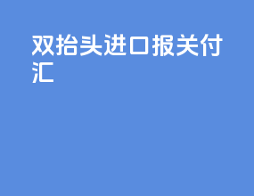 双抬头进口报关付汇