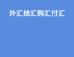 外汇结汇购汇付汇