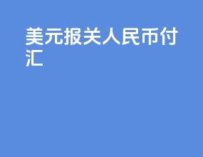 美元报关人民币付汇