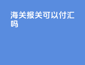 海关报关可以付汇吗