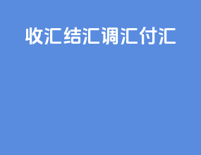 收汇结汇调汇付汇