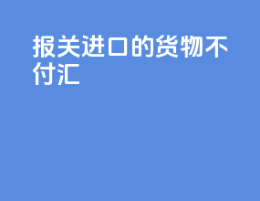 报关进口的货物不付汇
