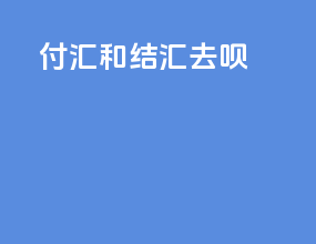 付汇和结汇去呗