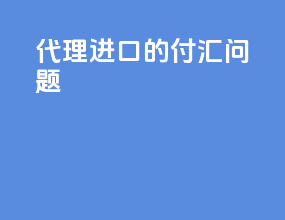 代理进口的付汇问题